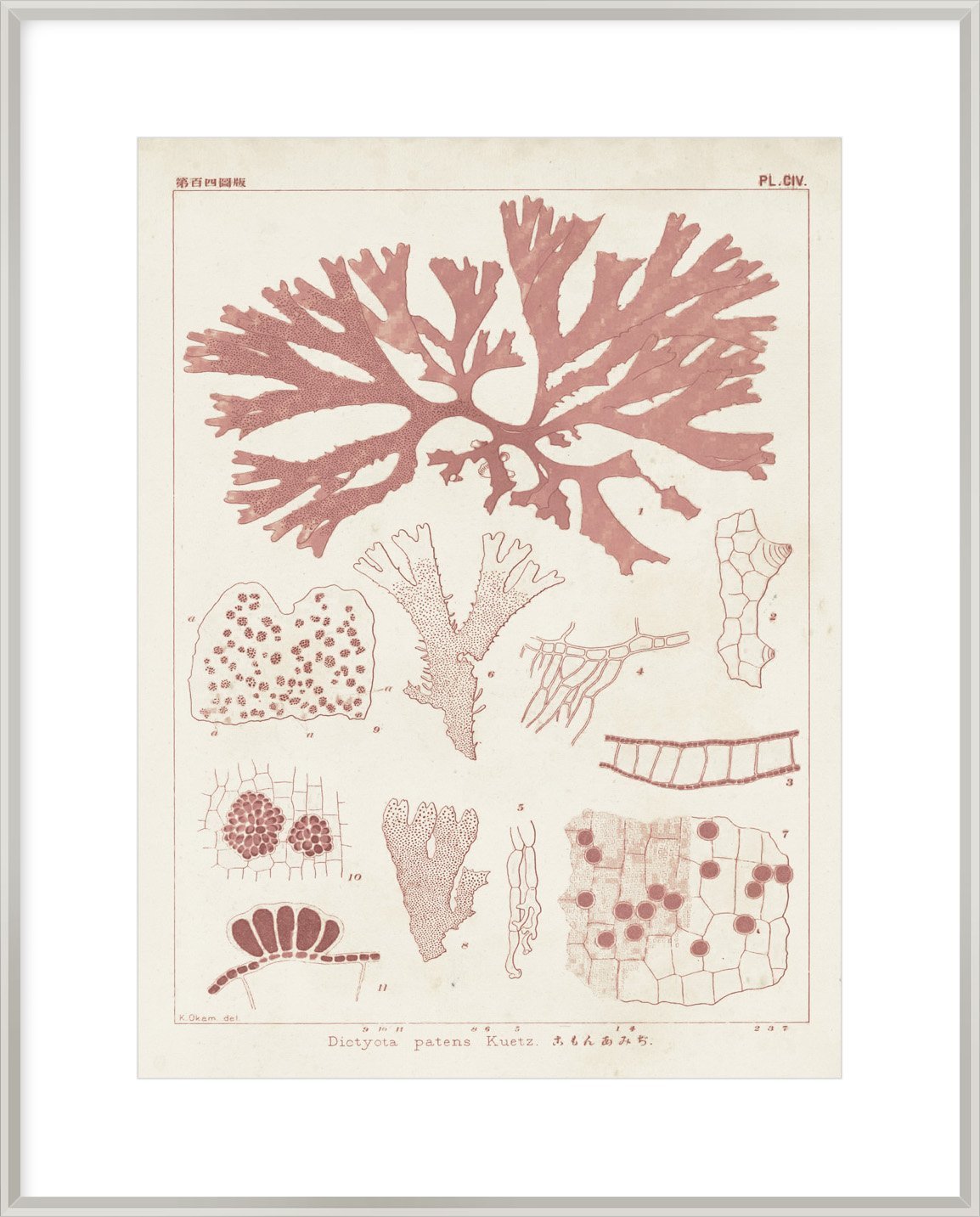 Biella Art framed prints melbourne