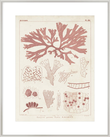 Biella Art framed prints melbourne