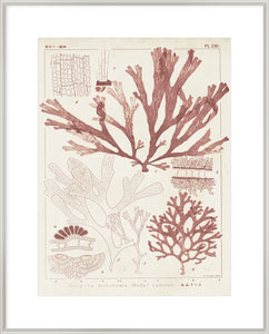 Biella Art framed prints melbourne