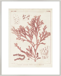 Biella Art framed prints melbourne