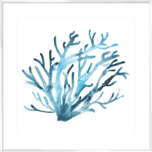 Azure Seafan IV