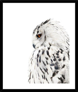 Biella Art framed prints melbourne