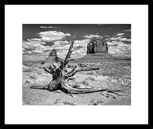 B&w Desert View V 84X69 Cm