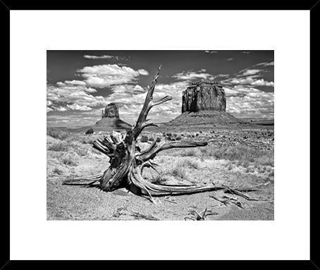 B&w Desert View V 84X69 Cm