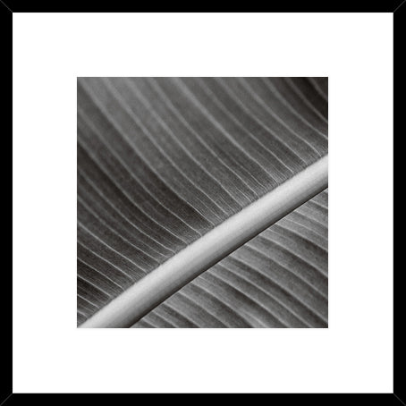 Biella Art framed prints melbourne