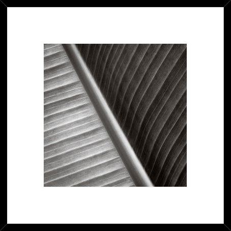 Biella Art framed prints melbourne