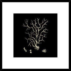 Biella Art framed prints melbourne