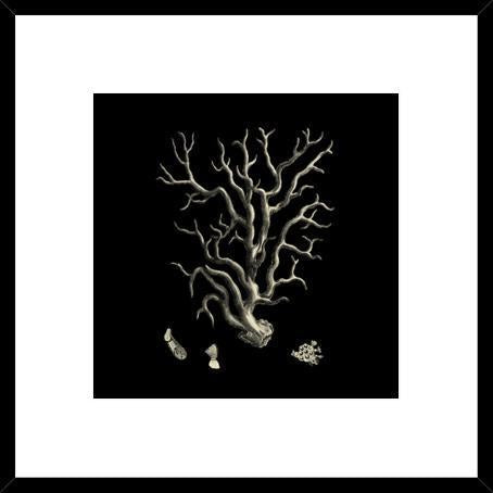 Biella Art framed prints melbourne