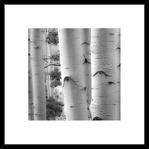 Biella Art framed prints melbourne
