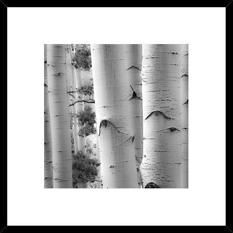 Biella Art framed prints melbourne