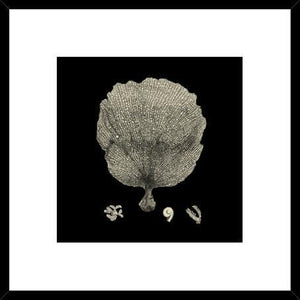 Biella Art framed prints melbourne