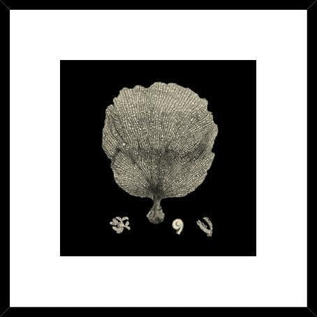 Biella Art framed prints melbourne