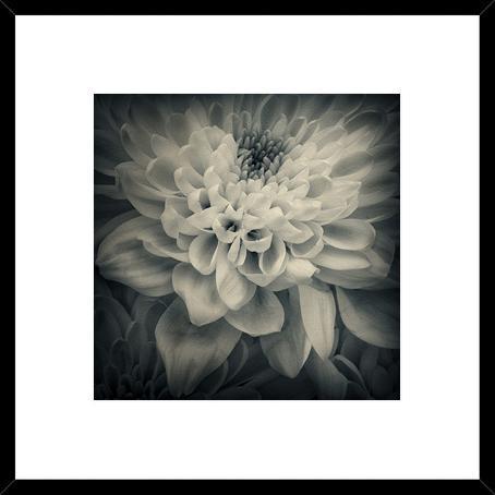 Biella Art framed prints melbourne