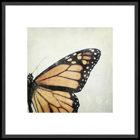 Biella Art framed prints melbourne