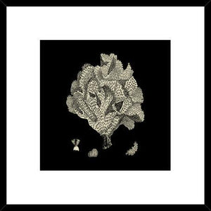 Biella Art framed prints melbourne