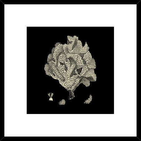 Biella Art framed prints melbourne
