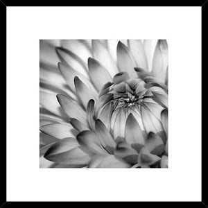 Biella Art framed prints melbourne