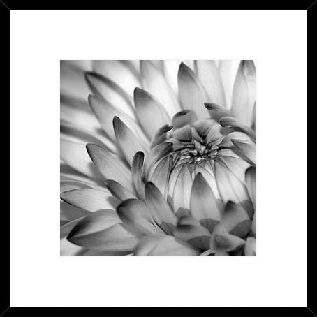 Biella Art framed prints melbourne