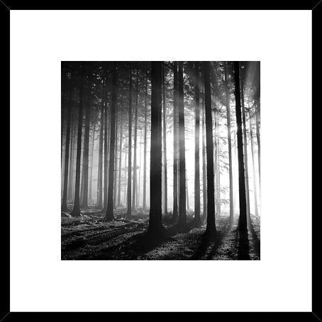 Biella Art framed prints melbourne