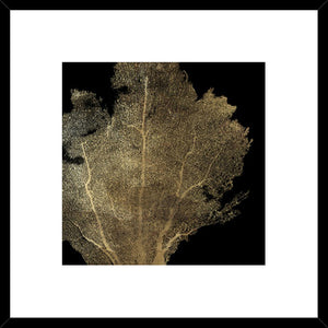 Biella Art framed prints melbourne