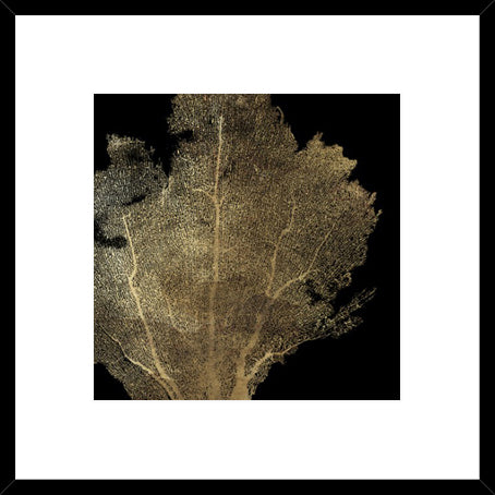 Biella Art framed prints melbourne