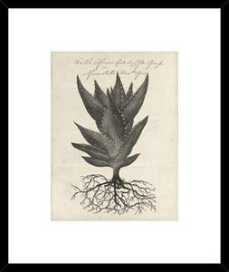 Biella Art framed prints melbourne