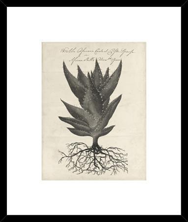 Biella Art framed prints melbourne