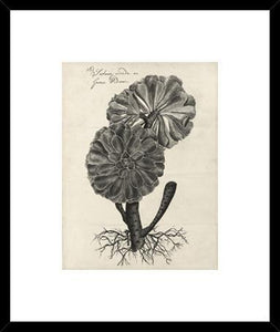 Biella Art framed prints melbourne