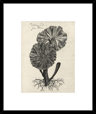 Biella Art framed prints melbourne