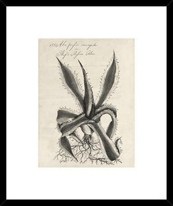Biella Art framed prints melbourne
