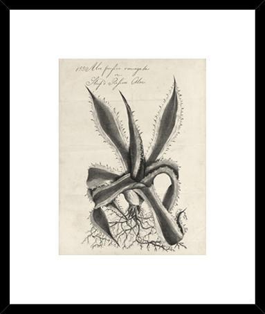 Biella Art framed prints melbourne