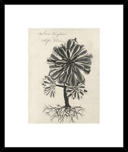Biella Art framed prints melbourne