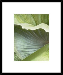 Biella Art framed prints melbourne