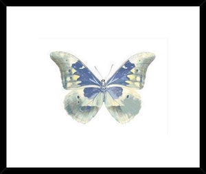 Biella Art framed prints melbourne