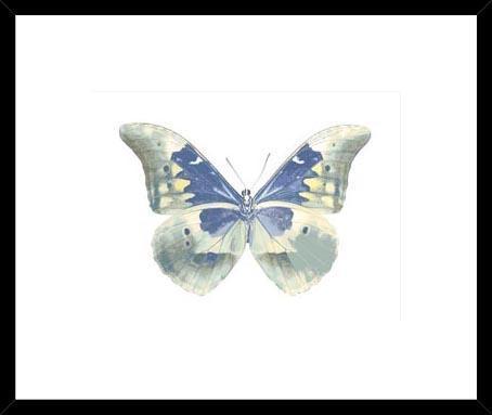 Biella Art framed prints melbourne