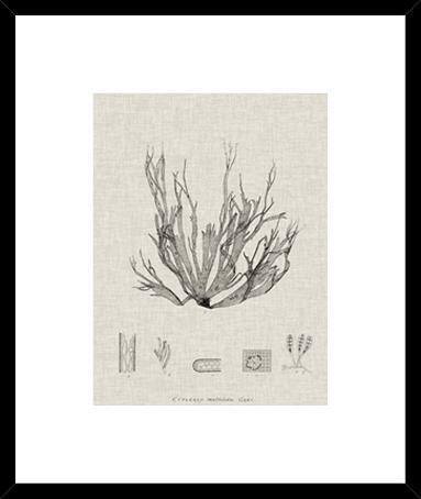 Biella Art framed prints melbourne