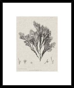 Biella Art framed prints melbourne