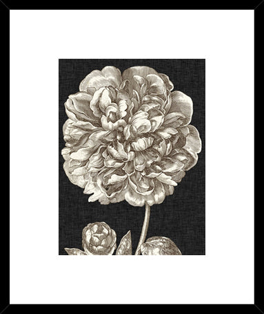 Biella Art framed prints melbourne