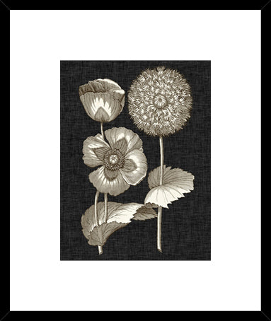 Biella Art framed prints melbourne
