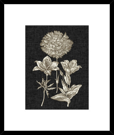 Biella Art framed prints melbourne