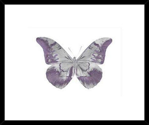 Biella Art framed prints melbourne