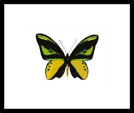 Biella Art framed prints melbourne