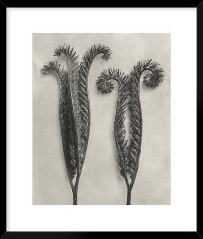 Biella Art framed prints melbourne
