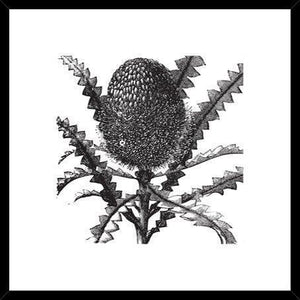 Biella Art framed prints melbourne