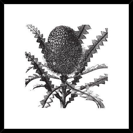 Biella Art framed prints melbourne