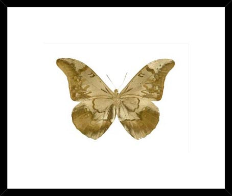 Biella Art framed prints melbourne