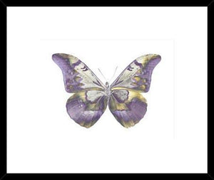 Biella Art framed prints melbourne