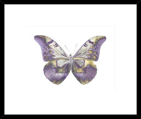 Biella Art framed prints melbourne