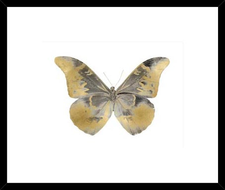 Biella Art framed prints melbourne