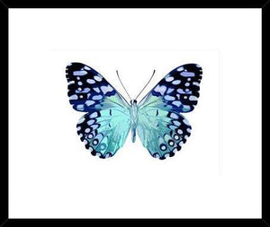Biella Art framed prints melbourne